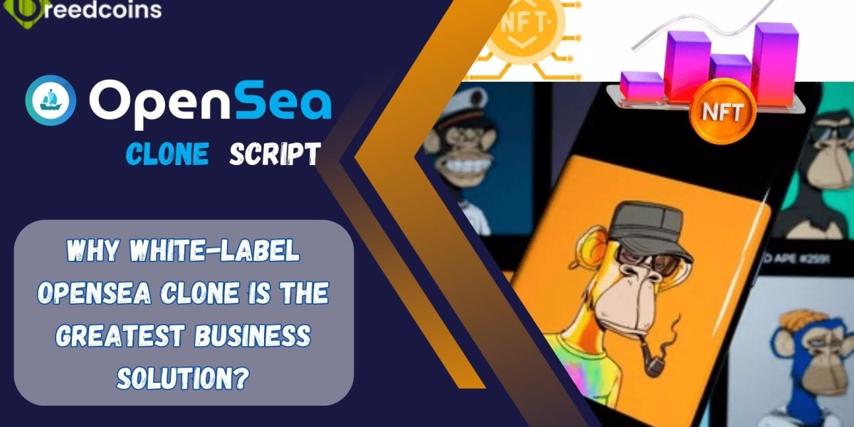 Why is White-Label OpenSea Clone the Greatest Business Solution?