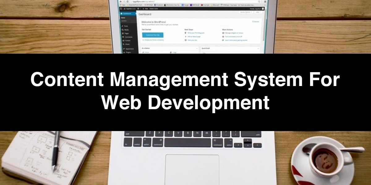 The Best Content Management System for Web Development