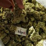 Order Weed Online With Credit Card (WhatsApp at): +1(786)949-1