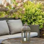 Plant Specialists