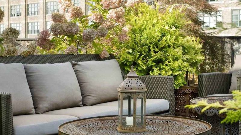 Plant Specialists