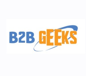 B2B Geeks