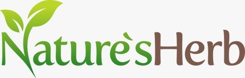 Apartment Cleaning Company