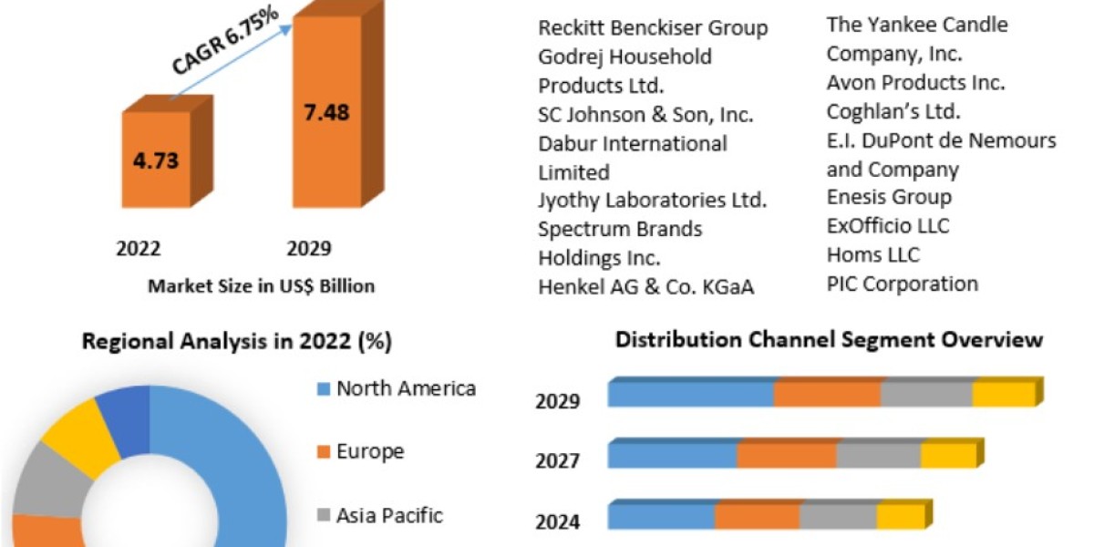 Insect Repellent Market Growth, Overview with Detailed Analysis 2029