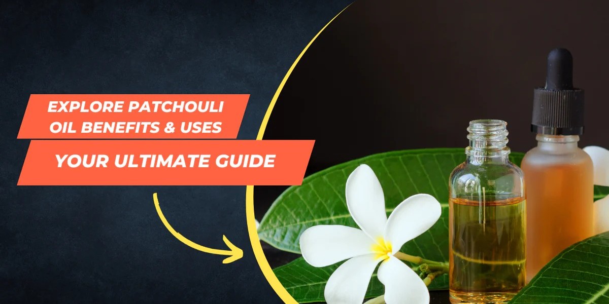 Unveiling the Mystique of Patchouli Essential Oil: Benefits and Usage Guide