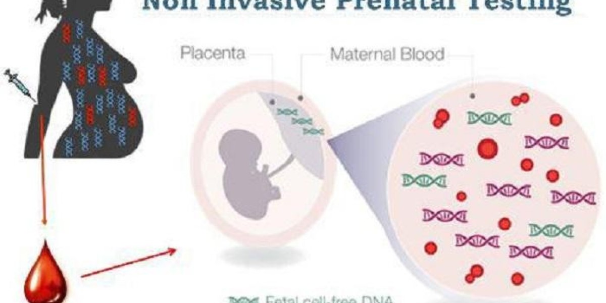 From Conception to Birth: The NIPT Journey Unveiled