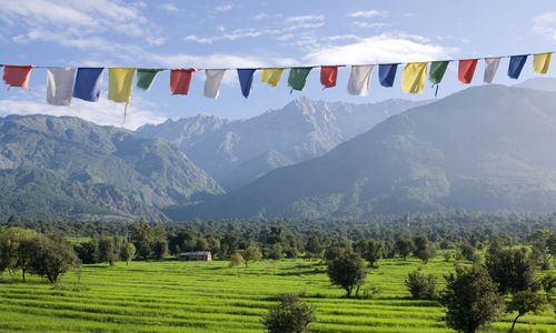 Dharamshala - Tourist Attractions & Things to Do
