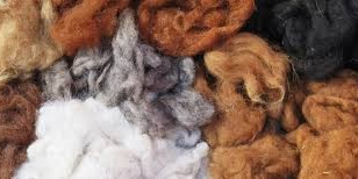 Alpaca Fiber Market Ansalysis, Statistics, Latest Report, Growth and Industry Forecast 2024-32