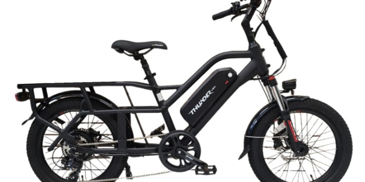 What Can You Use Cargo E-Bikes For? 5 Excellent Potentials