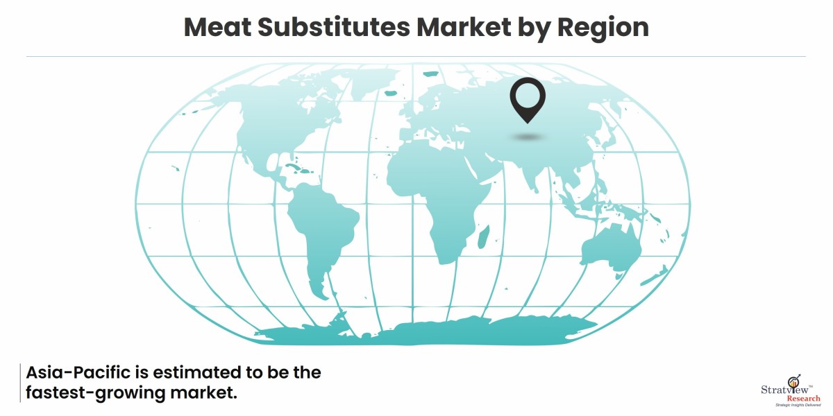 Beyond Burgers: Exploring Innovations in the Meat Substitutes Industry