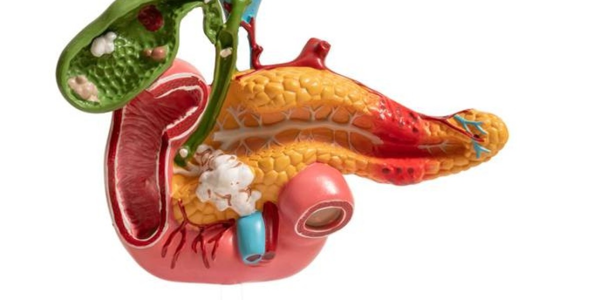 Chronic Pancreatitis Market Analysis, Epidemiology, Trends and Forecast till 2024-2034