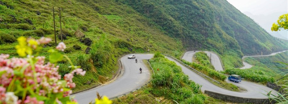 Vivu Travel