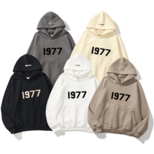 Essentials hoodie
