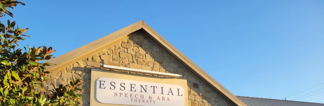 ABA Therapy Program