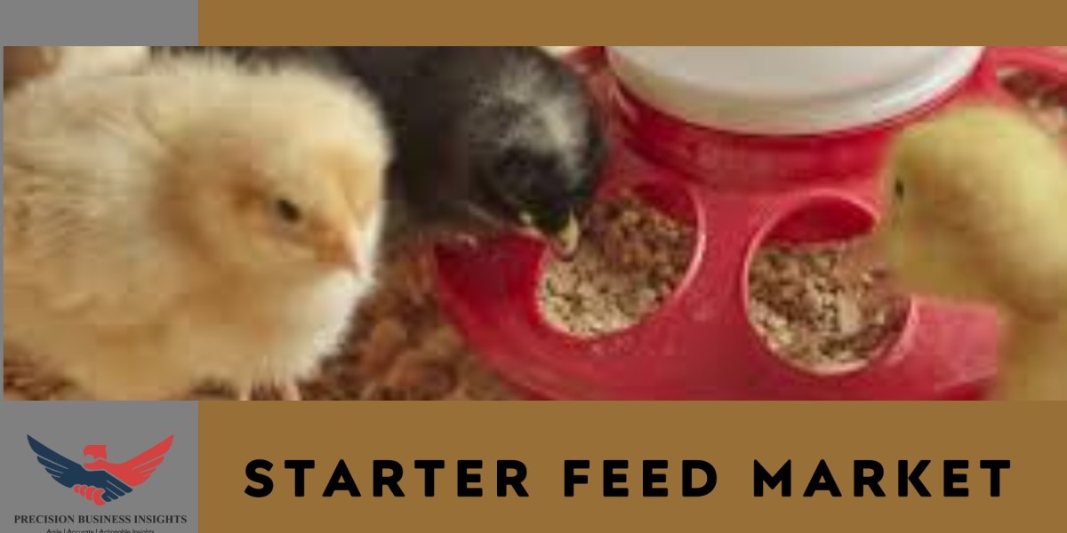 Starter Feed Market Overview, Outlook, Research Data Forecast 2024