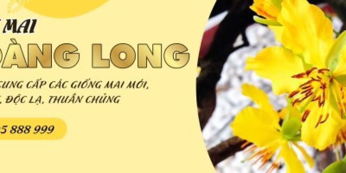 Tình Hình Mai Vàng Nở Sớm Nhà Nông Lo Lắng