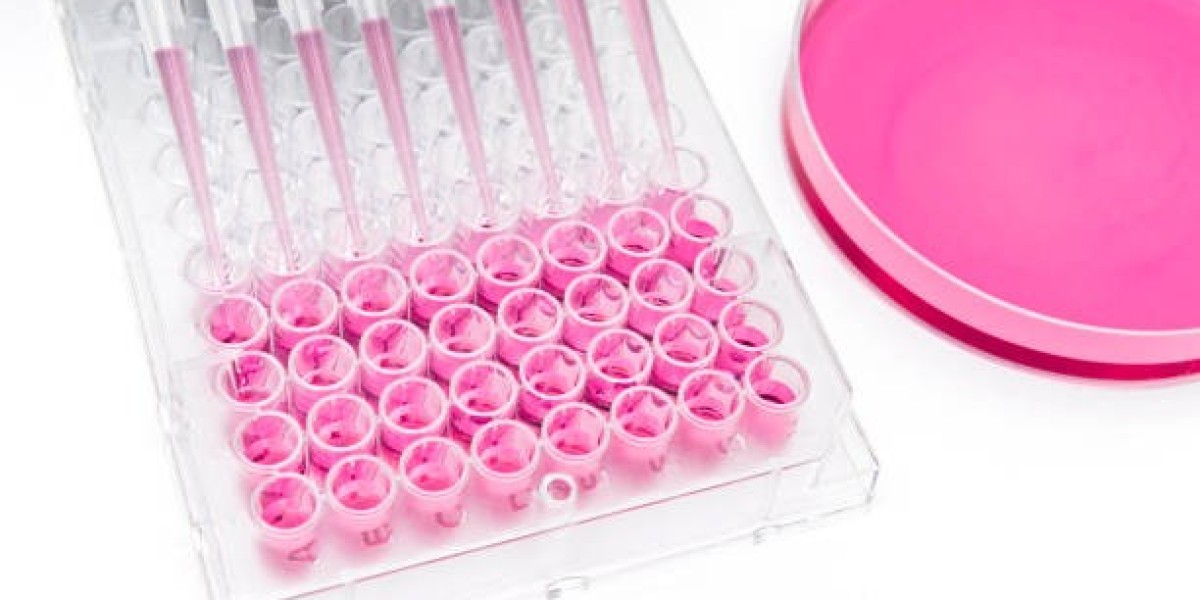 Cell-based Assay Market is Poised to Grow due to Rising Demand for Drug Discovery