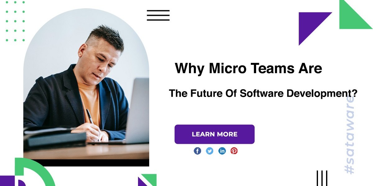 Why Micro Teams Are The Future Of Software Development?