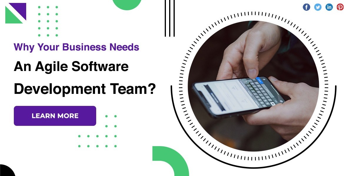 Why Your Business Needs An Agile Software Development Team?