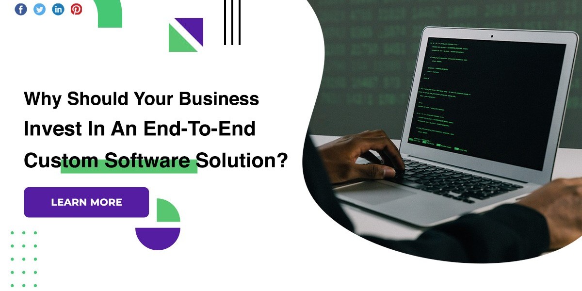 Why Should Your Business Invest In An End-To-End Custom Software Solution?