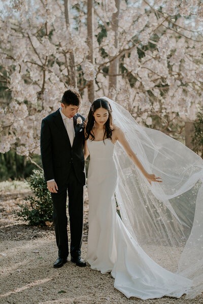 Scott Surplice Photography