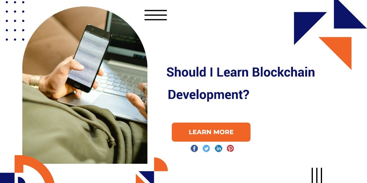 Should I Learn Blockchain Development?