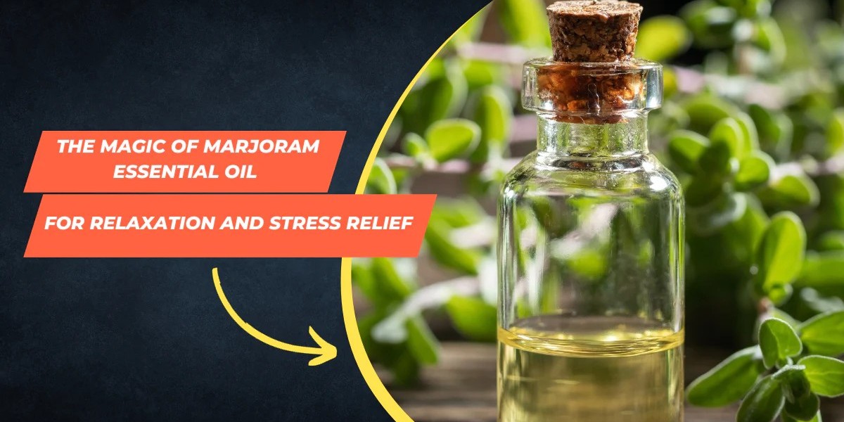 Unwind and Rejuvenate: The Magic of Marjoram Essential Oil for Relaxation and Stress Relief