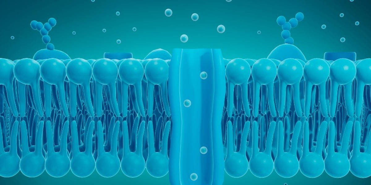 Ion Exchange Membrane Market: Comprehensive Overview and Future Prospects