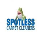 Sportless Carpet Cleaners Profile Picture