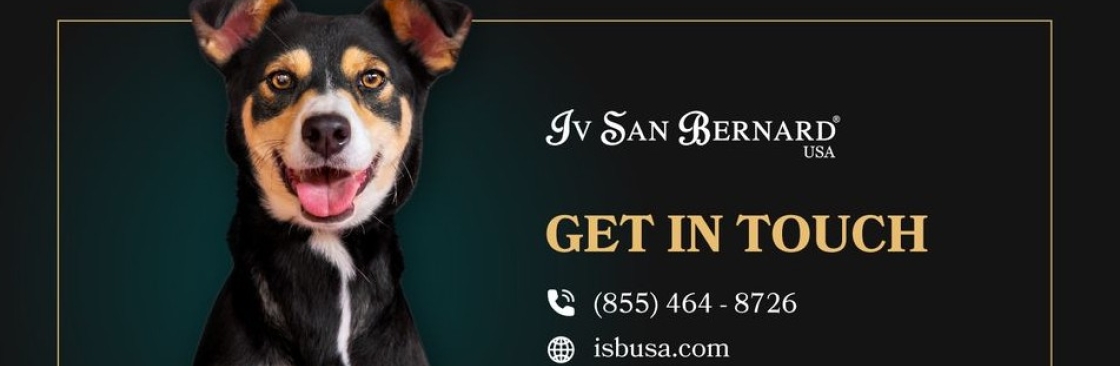 Iv San Bernard USA