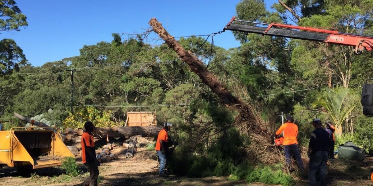 North Shore's Finest Tree Lopping Services