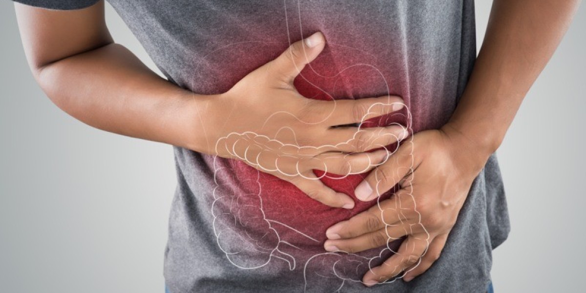 Inflammatory Bowel Disease Market: Epidemiology, Trends, Demand, Share, Size (2024-2034)