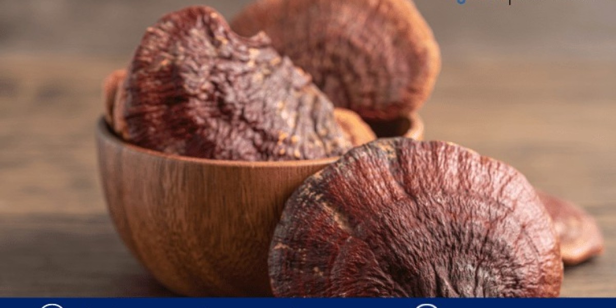 Reishi Mushroom Extract Market Size, Growth & Trends - 2032