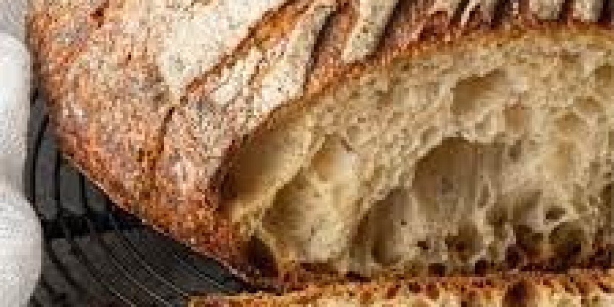 Mexico Sourdough Market Share: Regional Revenue and Competitor Growth 2032