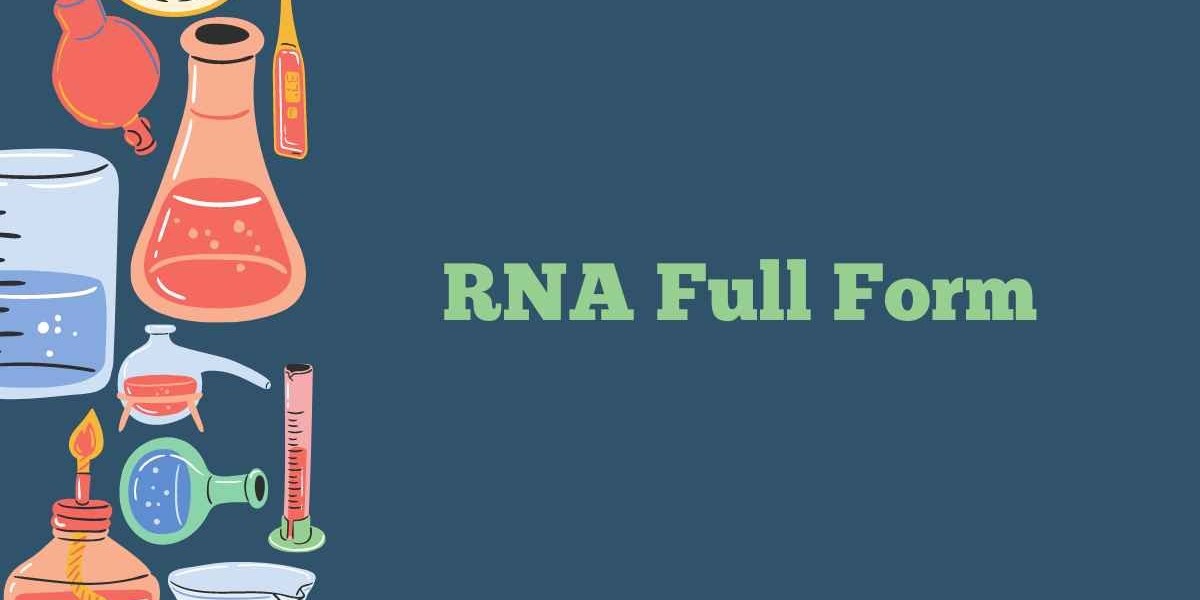 The Multifaceted Roles of RNA in Genetic Information and Cellular Regulation