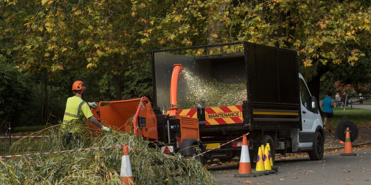 Tree Surgeons Hertfordshire North London