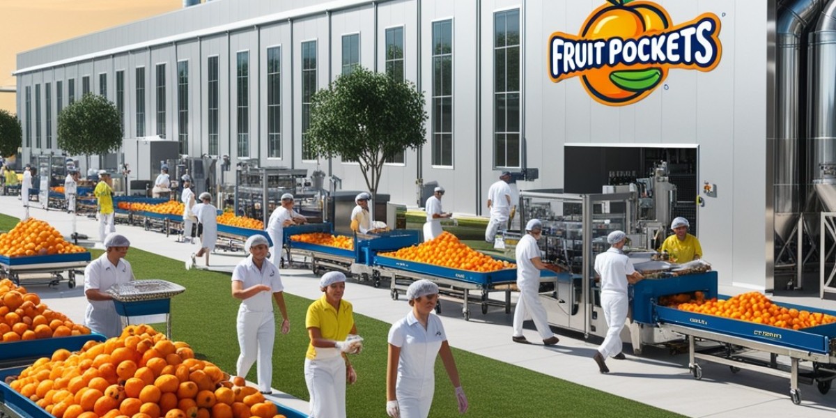 Fruit Pockets Manufacturing Plant Project Report 2024: Industry Trends and Raw Materials