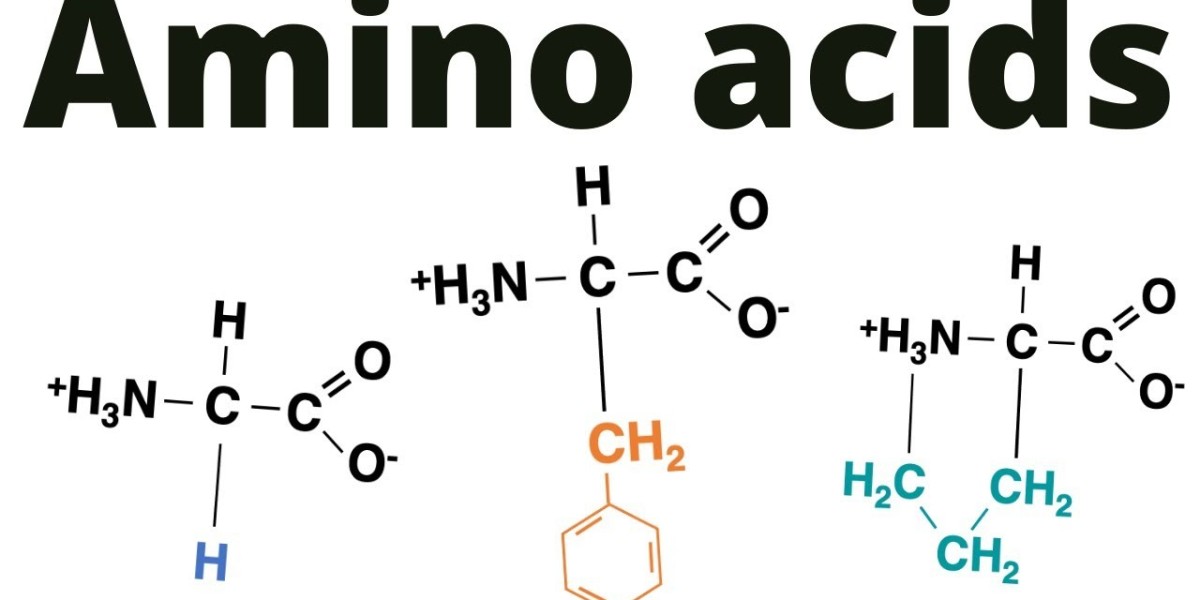 Amino Acids Market Industry Size, Growth, Analysis And Forecast of 2031