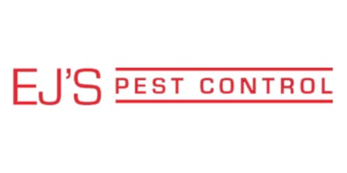 Searching for the Best Cockroach Exterminator in Washington DC?