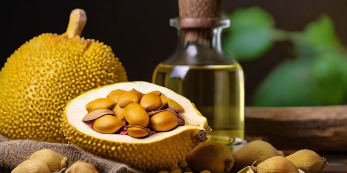 Jackfruit Seed Oil Processing Plant Project Report 2024: Raw Materials, Machinery and Technology Requirements