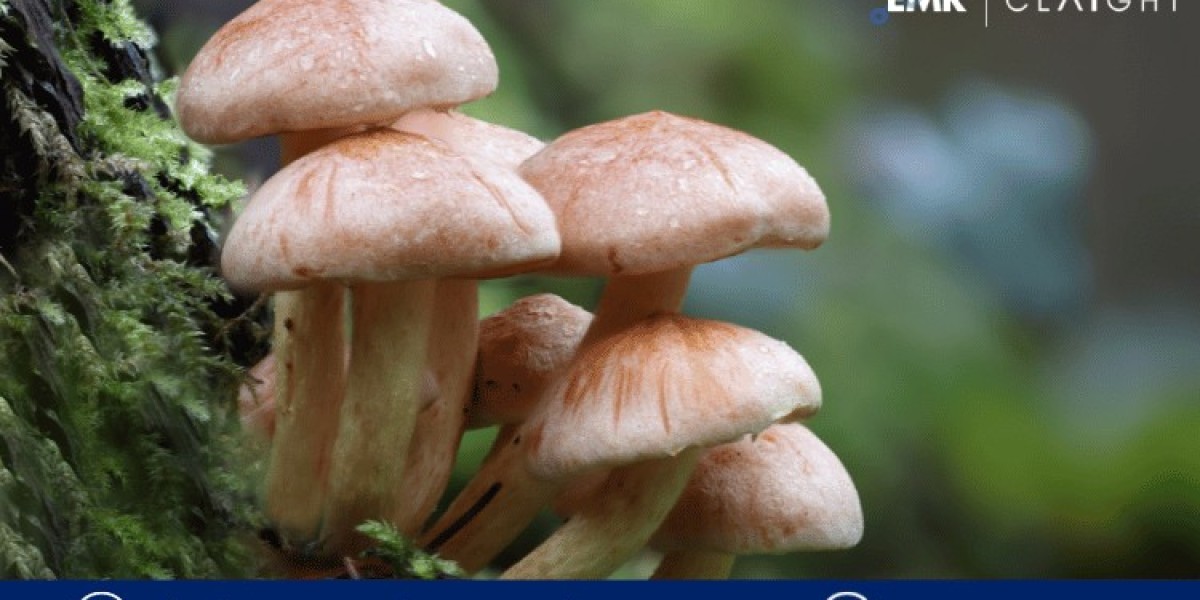 Argentina Mushroom Market Size & Share Analysis - 2032