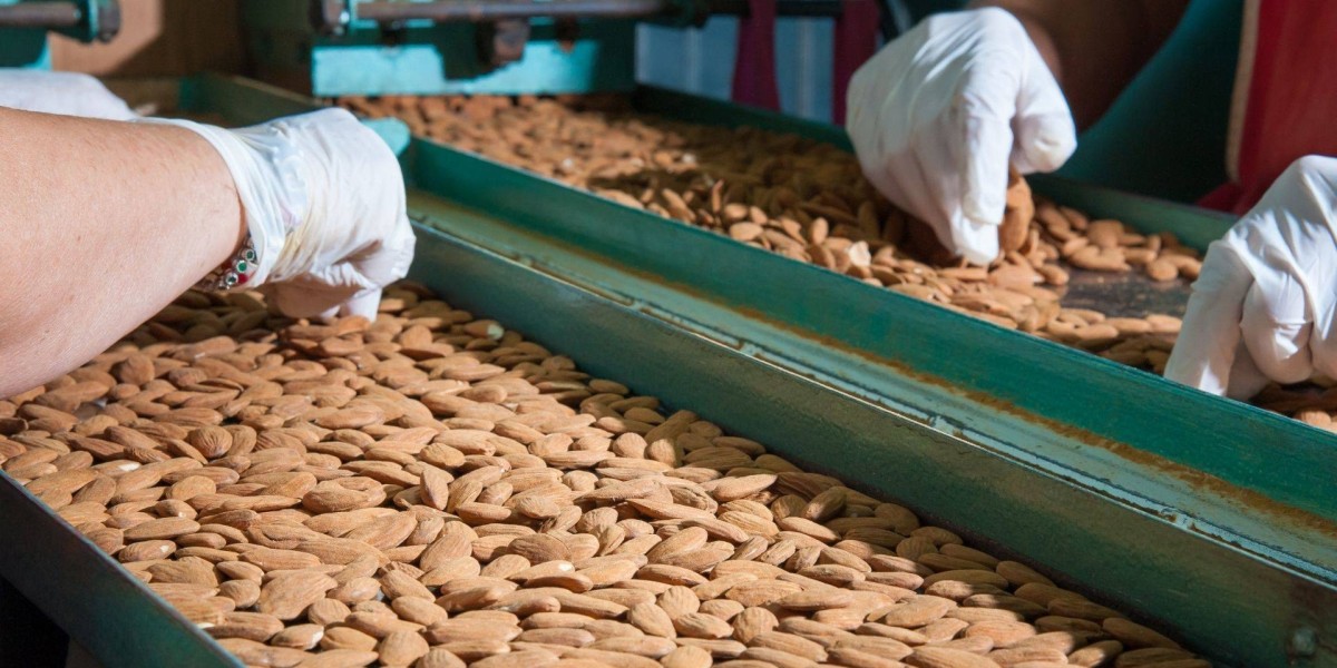 Setting up a Almond Processing Plant Setup Analysis Report | Machinery, Raw Materials and Investment Opportunities