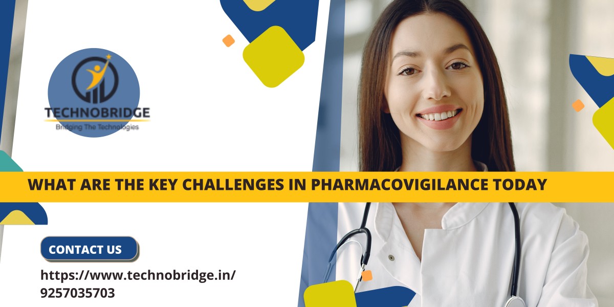 Why Are Pharmacovigilance Challenges More Complex in 2024?