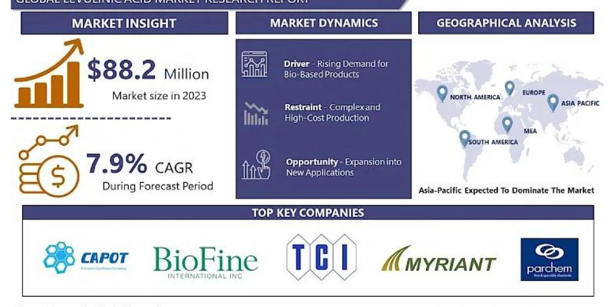 Levulinic Acid Merket : A Key Ingredient in the Green Chemicals Industry