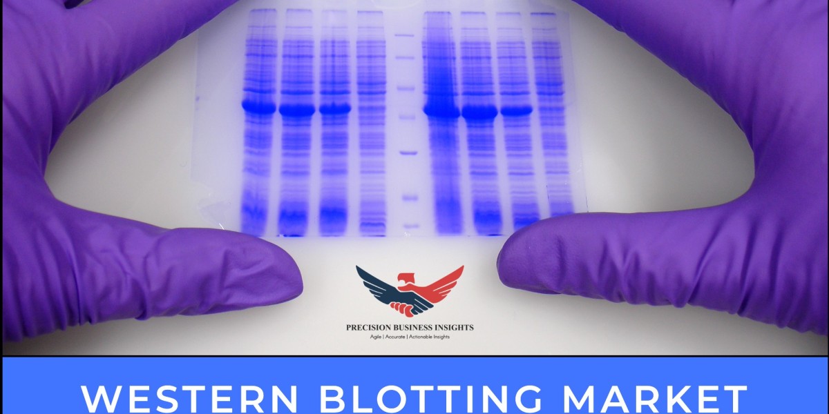 Western Blotting Market Regional Analysis, Demand, Growth Analysis 2024