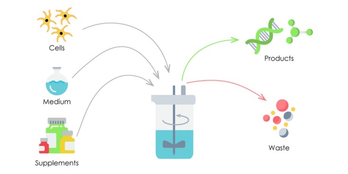 Cell Culture Media Market Global Latest Trends and Insights 2024 to 2031