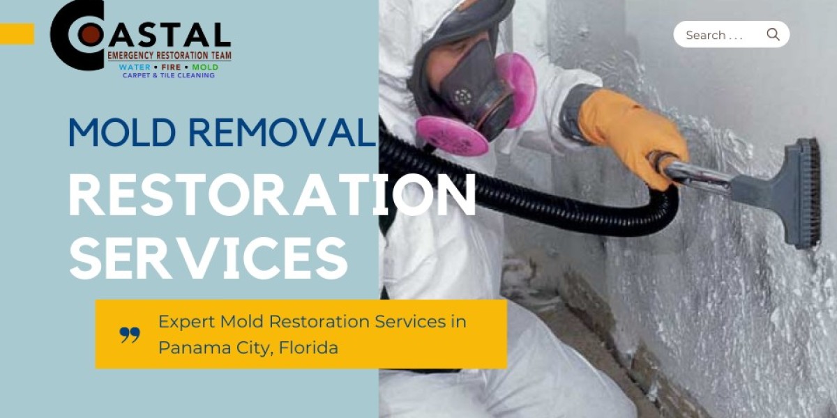 Top 5 Signs Your Home Needs Mold Restoration Services ASAP