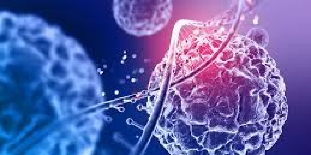 Oncology Market Rising Trends, Demand and Future Scope 2024 to 2031