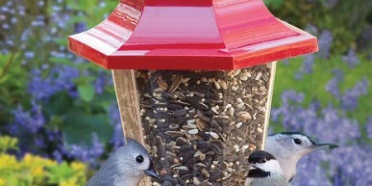 The Benefits of Using Bird Seed Feeders in Your Garden