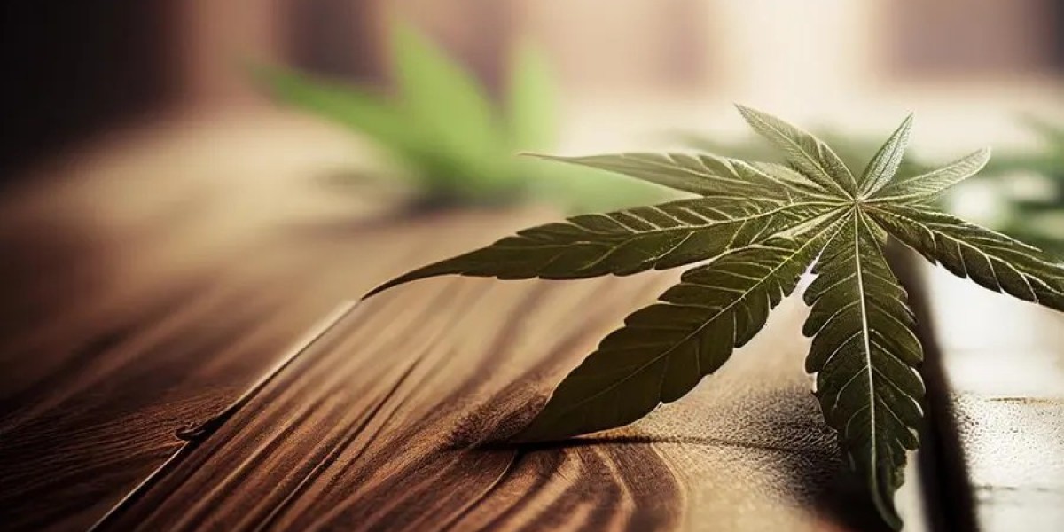 Cannabis Market Global outlook 2024 to 2031